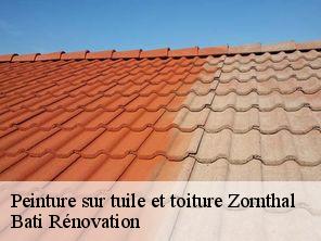 Peinture sur tuile et toiture zornthal-67700 Bati Rénovation