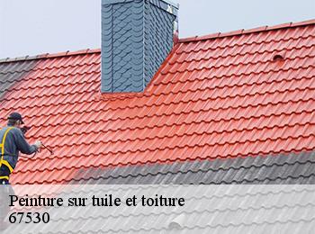 Peinture sur tuile et toiture  67530
