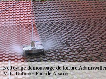 Nettoyage demoussage de toiture  adamswiller-67320 M.K Toiture - Facade Alsace