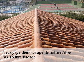 Nettoyage demoussage de toiture 67220