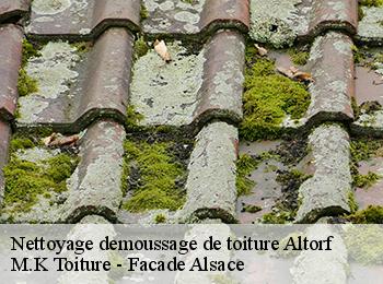 Nettoyage demoussage de toiture