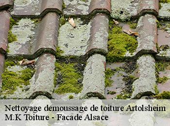 Nettoyage demoussage de toiture