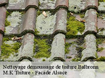 Nettoyage demoussage de toiture