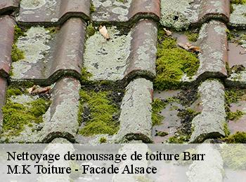 Nettoyage demoussage de toiture