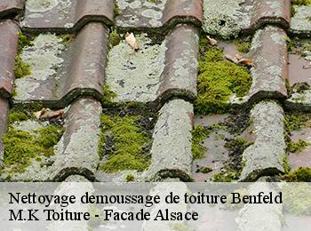 Nettoyage demoussage de toiture
