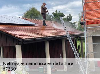 Nettoyage demoussage de toiture  67230