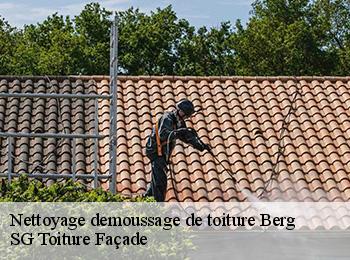 Nettoyage demoussage de toiture