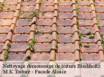 Nettoyage demoussage de toiture  67340
