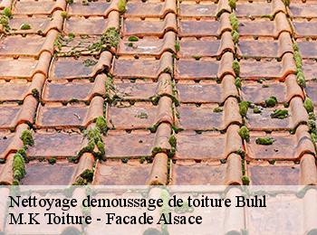 Nettoyage demoussage de toiture  67470