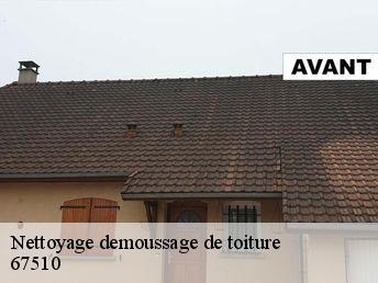Nettoyage demoussage de toiture 67510
