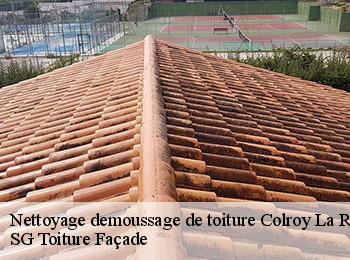 Nettoyage demoussage de toiture  67420