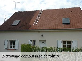 Nettoyage demoussage de toiture 67310