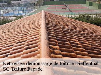 Nettoyage demoussage de toiture  67650