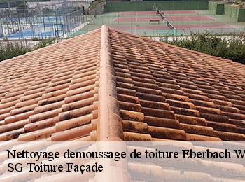 Nettoyage demoussage de toiture  67110