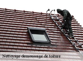 Nettoyage demoussage de toiture