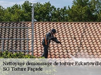 Nettoyage demoussage de toiture