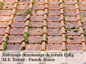 Nettoyage demoussage de toiture  67680