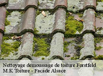 Nettoyage demoussage de toiture