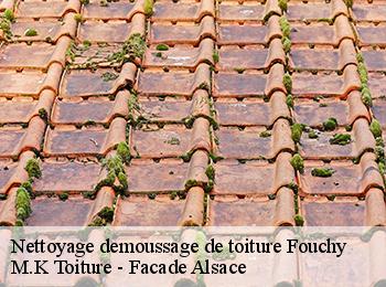 Nettoyage demoussage de toiture  67220