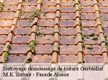 Nettoyage demoussage de toiture  67140