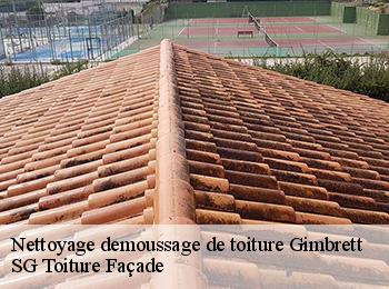 Nettoyage demoussage de toiture 67370