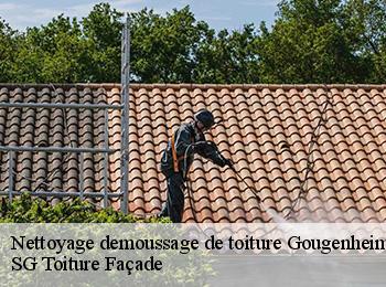 Nettoyage demoussage de toiture