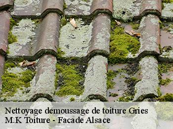 Nettoyage demoussage de toiture