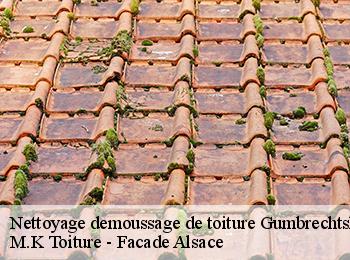 Nettoyage demoussage de toiture  67110