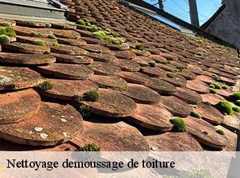 Nettoyage demoussage de toiture  67500