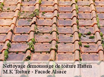 Nettoyage demoussage de toiture  67690
