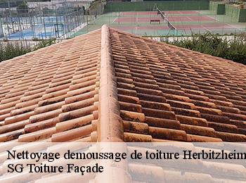 Nettoyage demoussage de toiture 67260