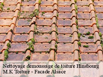 Nettoyage demoussage de toiture  67290
