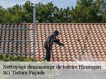 Nettoyage demoussage de toiture