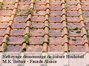 Nettoyage demoussage de toiture  67170