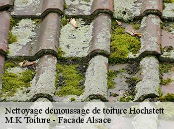 Nettoyage demoussage de toiture