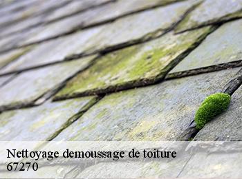 Nettoyage demoussage de toiture 67270