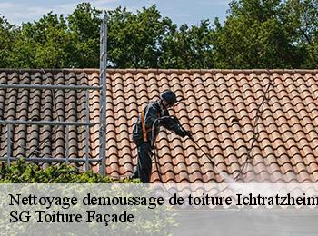 Nettoyage demoussage de toiture