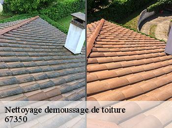 Nettoyage demoussage de toiture  67350