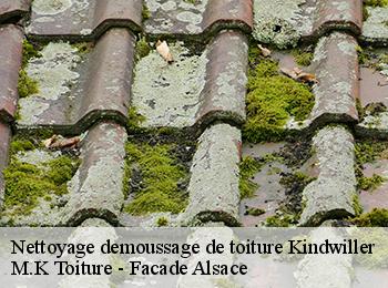 Nettoyage demoussage de toiture
