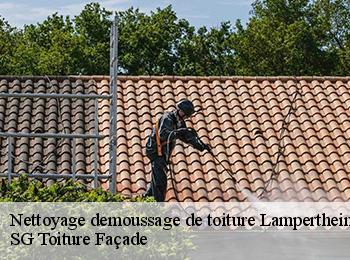 Nettoyage demoussage de toiture