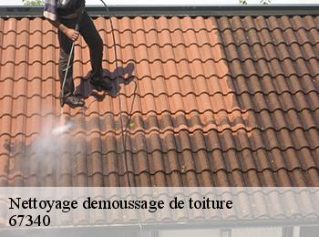 Nettoyage demoussage de toiture