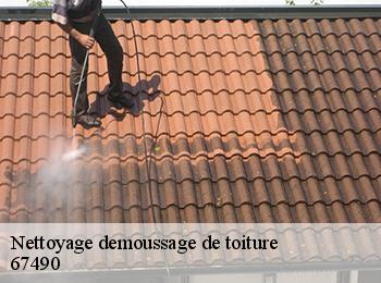 Nettoyage demoussage de toiture