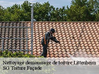 Nettoyage demoussage de toiture