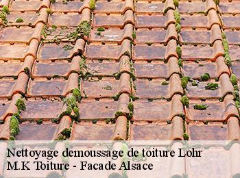 Nettoyage demoussage de toiture  67290