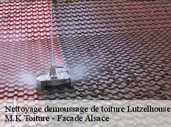 Nettoyage demoussage de toiture  lutzelhouse-67130 M.K Toiture - Facade Alsace