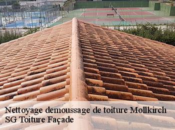 Nettoyage demoussage de toiture 67190