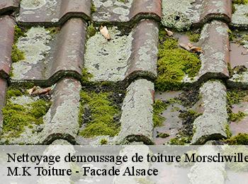 Nettoyage demoussage de toiture