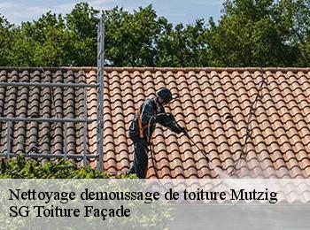 Nettoyage demoussage de toiture