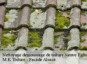 Nettoyage demoussage de toiture
