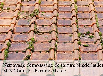 Nettoyage demoussage de toiture  67630